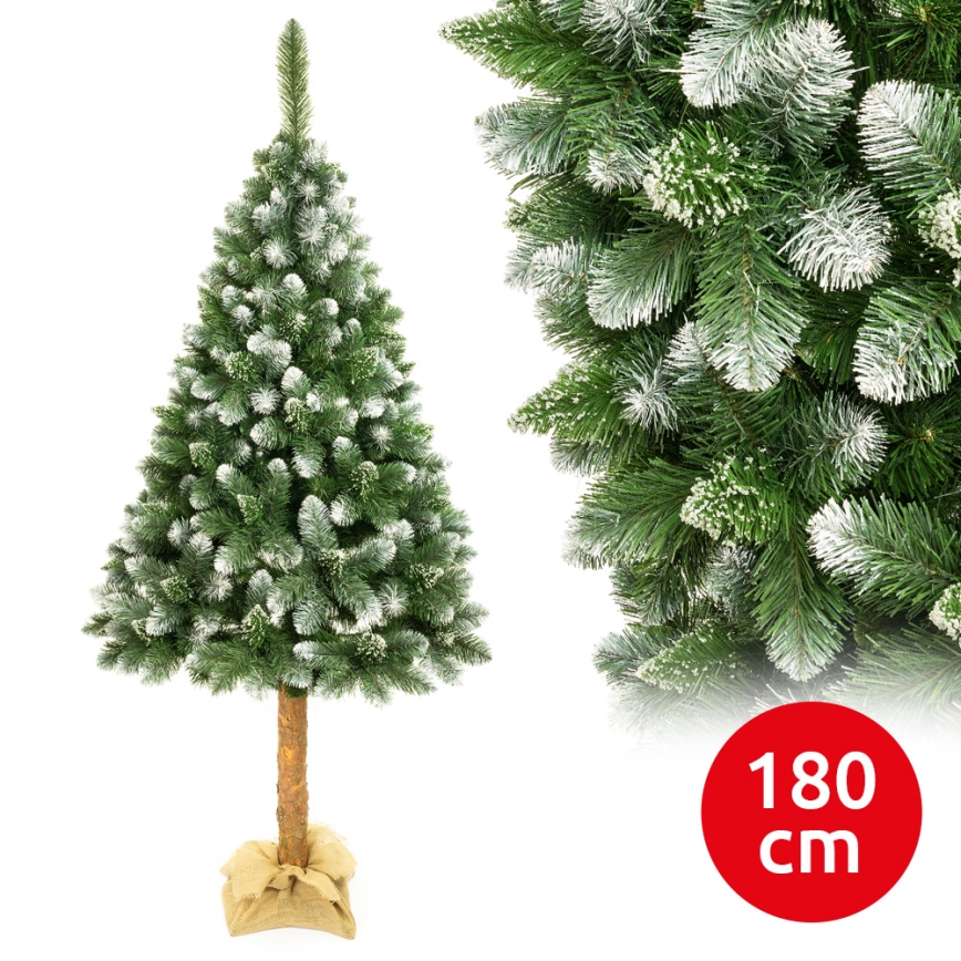 Julgran  på stam 180 cm tall