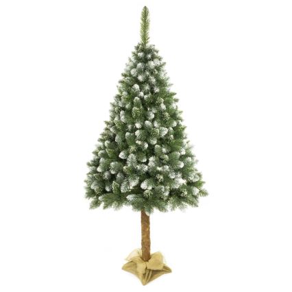 Julgran  på stam 180 cm tall