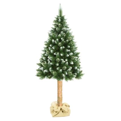 Julgran  på stam 180 cm tall