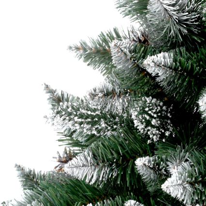 Julgran TAL 250 cm furu träd