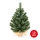 Julgran XMAS träd 50 cm furu