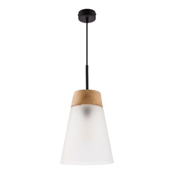 Jupiter 1538 - DM 1 MA - Hängande lampa DOMINO E27/60W