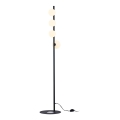 Jupiter 1929 - Golv lampa TAIDA 4xG9/40W/230V svart