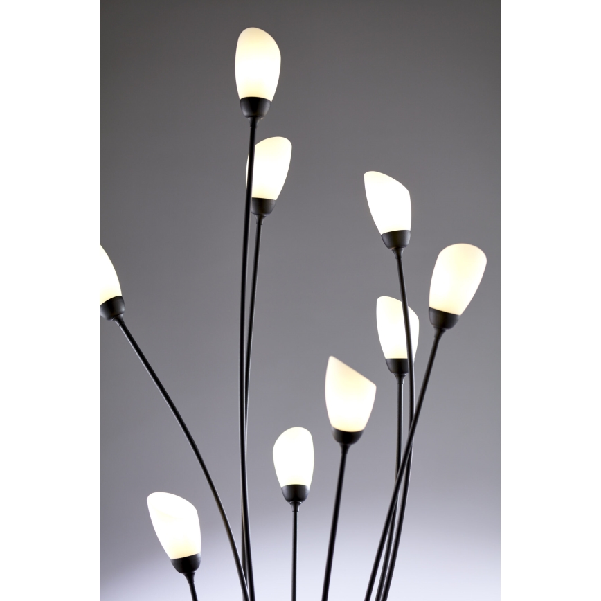 Jupiter 2058 - Golvlampa GLORIOSA 9xG9/14W/230V svart