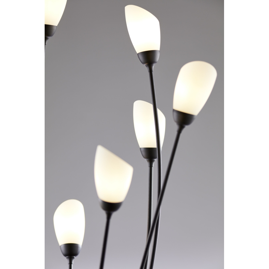 Jupiter 2058 - Golvlampa GLORIOSA 9xG9/14W/230V svart