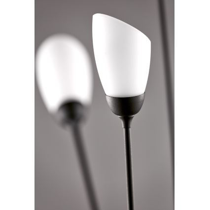 Jupiter 2058 - Golvlampa GLORIOSA 9xG9/14W/230V svart