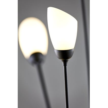 Jupiter 2058 - Golvlampa GLORIOSA 9xG9/14W/230V svart
