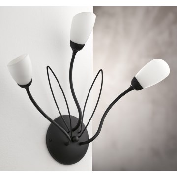Jupiter 2059 - Vägglampa GLORIOSA 3xG9/14W/230V svart
