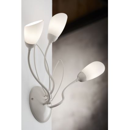 Jupiter 2064 - Vägglampa GLORIOSA 3xG9/14W/230V krämfärgad