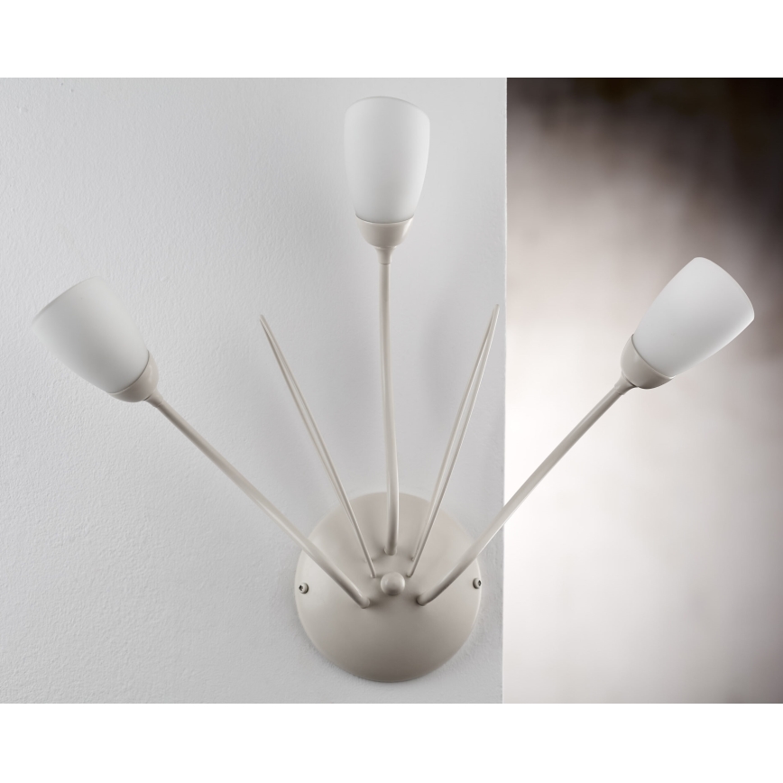 Jupiter 2064 - Vägglampa GLORIOSA 3xG9/14W/230V krämfärgad
