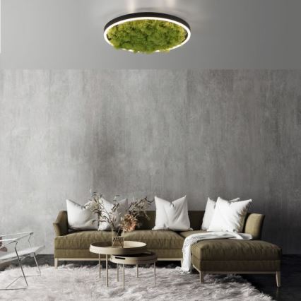 JUST LIGHT. 15391-66 - LED Dimbar taklampa GRÖN RITU LED/20W/230V