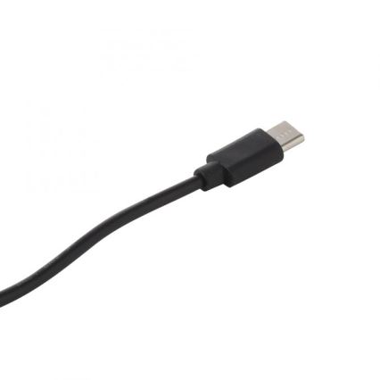JUST LIGHT. 19260-18 - LED Ljusreglerad beröring utomhus lampa ABERA LED/3W/3,7V 2000 mAh USB IP54 svart