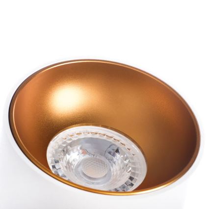 Spotlight RITI 1xGU10/10W/230V vit/guld