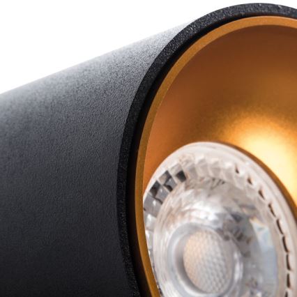 Spotlight RITI 1xGU10/10W/230V svart/guld