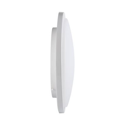 LED badrumstakbelysning  ORTE LED/24W/230V IP54