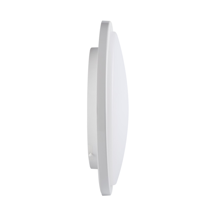 LED badrumstakbelysning  ORTE LED/24W/230V IP54
