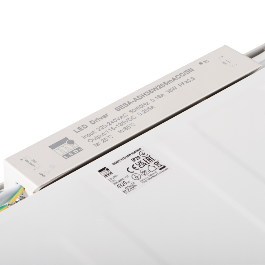 LED upphängd takpanel BAREV ECO LED/36W/230V 4000K 60x60 cm