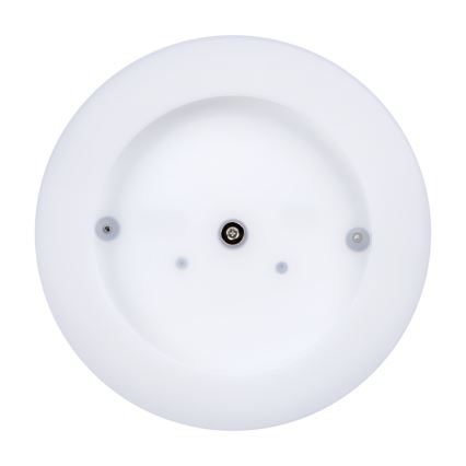 LED taklampa för utomhusbruk TURA LED/24W/230V 4000K IP54 svart