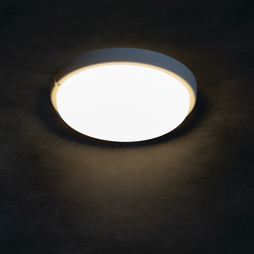 LED taklampa för badrum TOLU LED/9W/230V 4000K IP54 vit