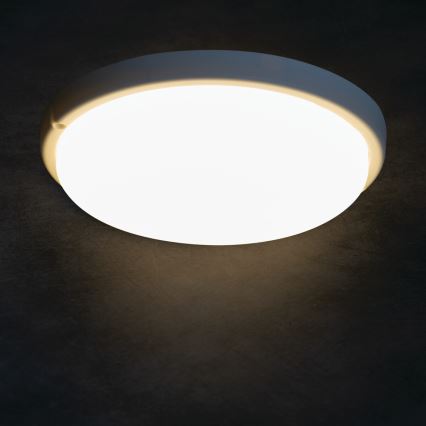 LED taklampa för badrum TOLU LED/18W/230V 4000K IP54 vit