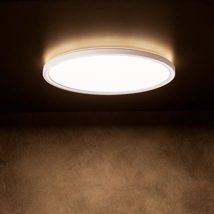 LED taklampa AZPO LED/18,5W/230V 3000/4000/6000K Ø 29 cm IP54 vit