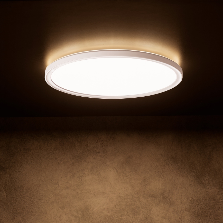 LED taklampa AZPO LED/18,5W/230V 3000/4000/6000K Ø 29 cm IP54 vit