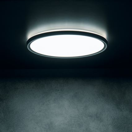 LED-taklampa AZPO, 22 W, 230 V, 3000/4000/6000 K, Ø 42 cm, IP54, svart