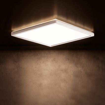 LED taklampa AZPO LED/22W/230V 3000/4000/6000K 42x42 cm IP54 vit