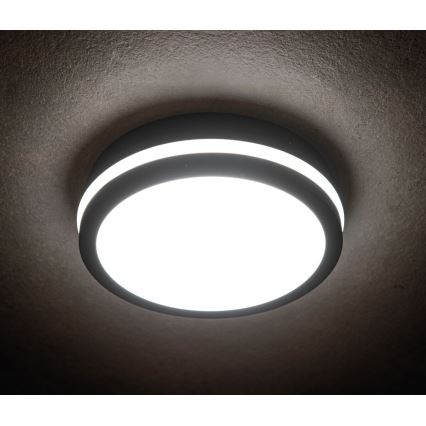 Utomhus LED lampa med sensor  BENO LED/18W/230V 4000K antracit  IP54