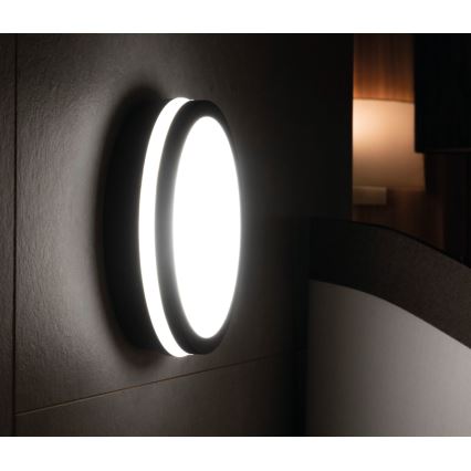 Utomhus LED lampa med sensor  BENO LED/18W/230V 4000K antracit  IP54
