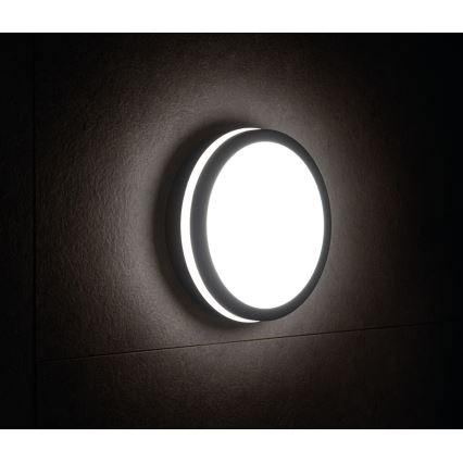 Utomhus LED lampa med sensor  BENO LED/18W/230V 4000K antracit  IP54