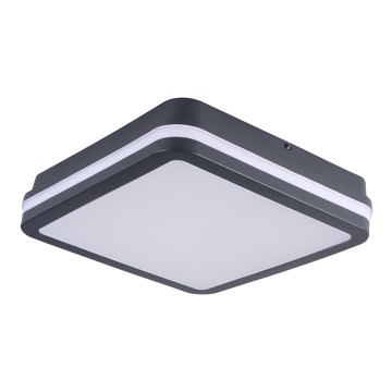Kanlux 33343 - LED Utomhusbelysning BENO LED/24W/230V 4000K antracit IP54
