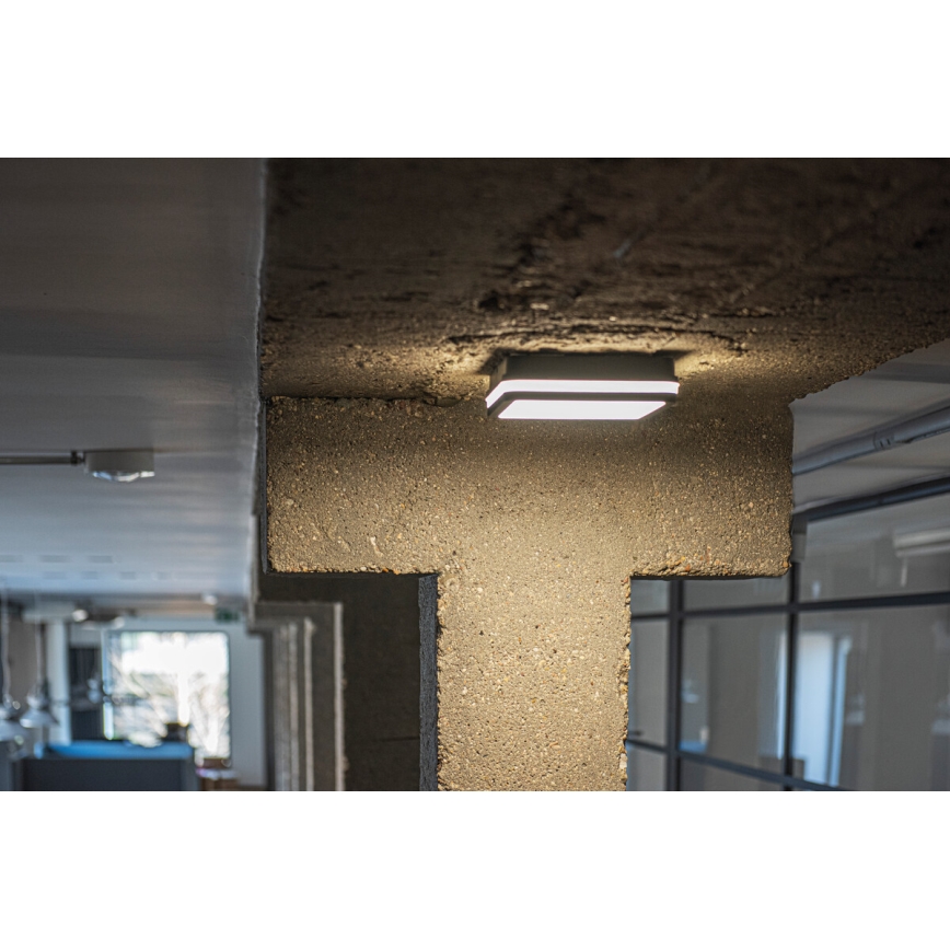Kanlux 33343 - LED Utomhusbelysning BENO LED/24W/230V 4000K antracit IP54