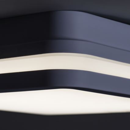 Kanlux 33343 - LED Utomhusbelysning BENO LED/24W/230V 4000K antracit IP54