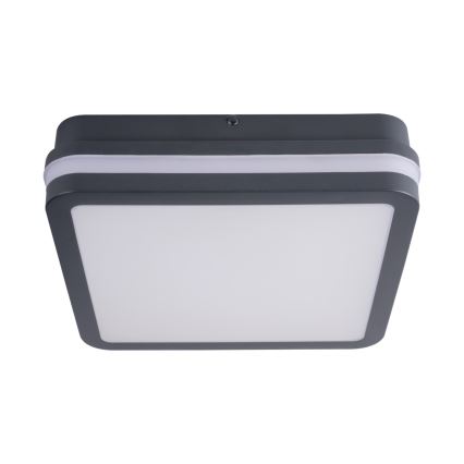 Kanlux 33343 - LED Utomhusbelysning BENO LED/24W/230V 4000K antracit IP54