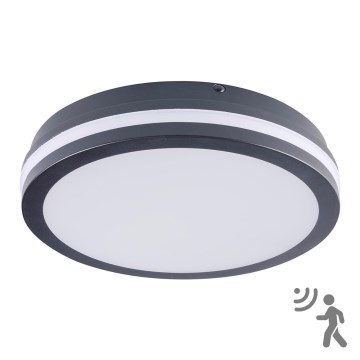 Kanlux 33345 - LED Utomhusbelysning med sensor BENO LED/24W/230V 4000K IP54