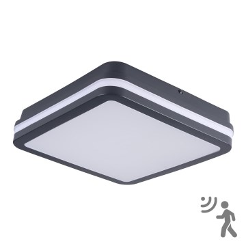 Kanlux 33347 – LED Utomhus Takbelysning med sensor BENO LED/24W/230V 4000K antracit IP54
