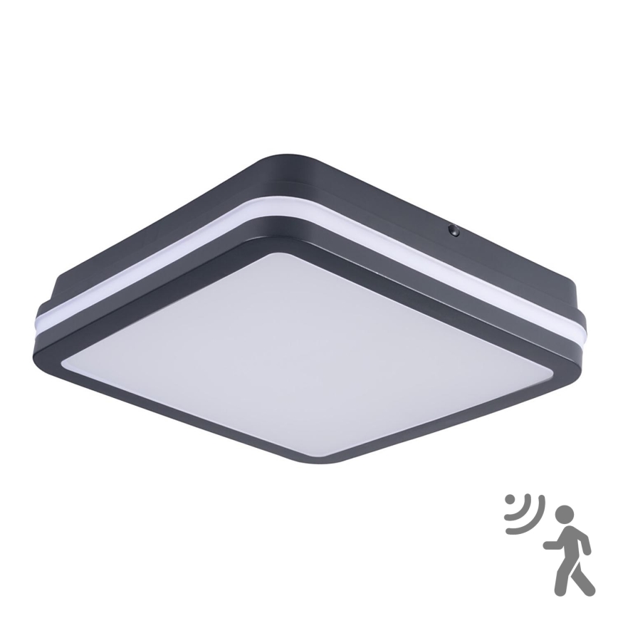 Kanlux 33347 – LED Utomhus Takbelysning med sensor BENO LED/24W/230V 4000K antracit IP54
