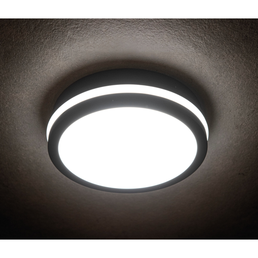 LED Utomhus Takbelysning BENO LED/18W/230V 4000K antracit IP54