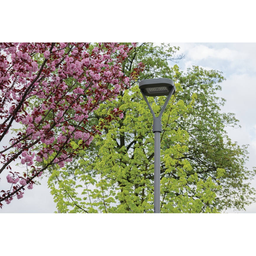 LED gatulampa PARCOLI LED/30/40/50W/230V 3000/4000/6500K IP66 grå