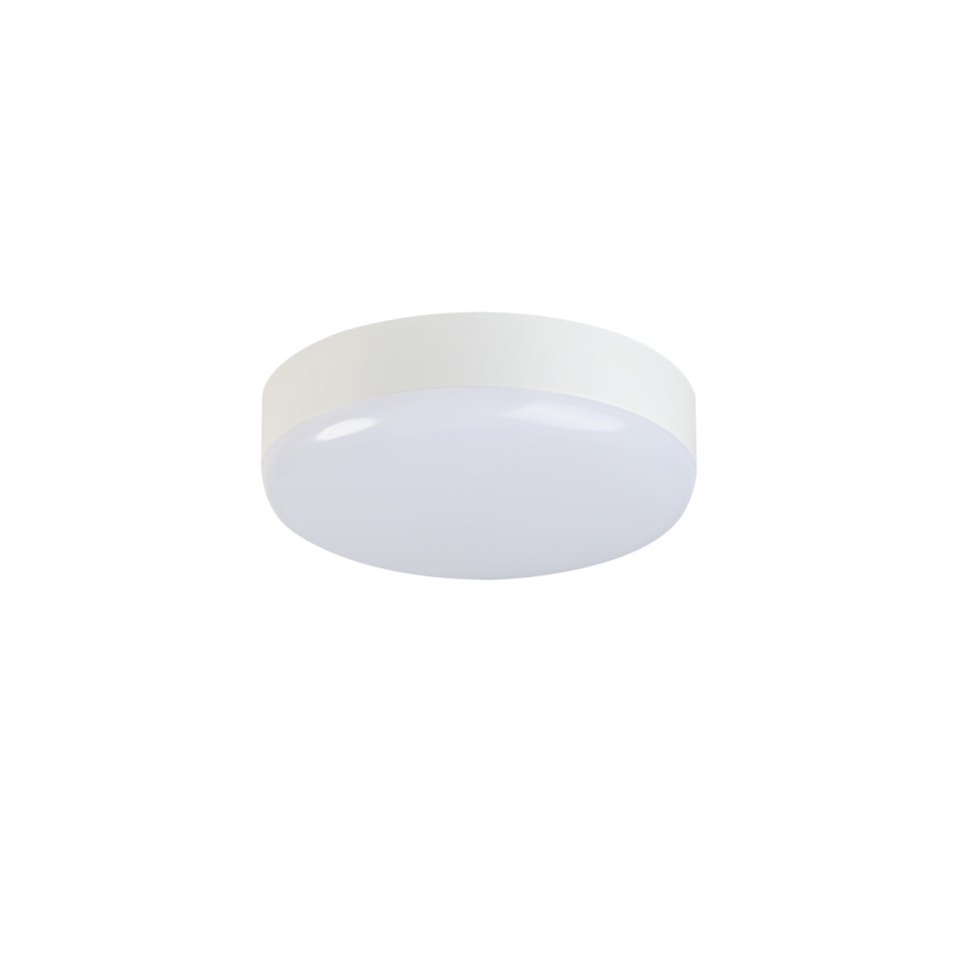 LED arbetsvägglampa IPER LED/19W/230V IK10 IP65 rund vit