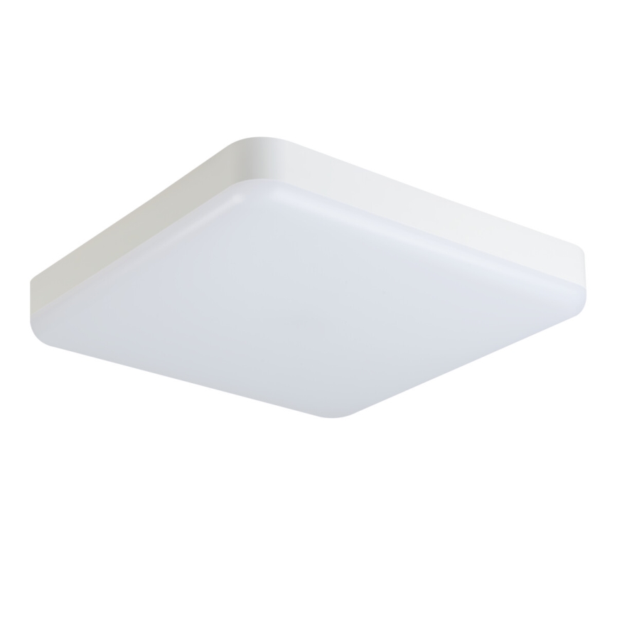 LED arbetsvägglampa IPER LED/35W/230V IK10 IP65 vinklat vit