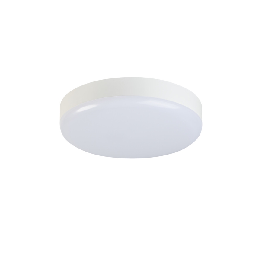 LED arbetsvägglampa med rörelsedetektor IPER LED/26W/230V IK10 IP65 rund vit