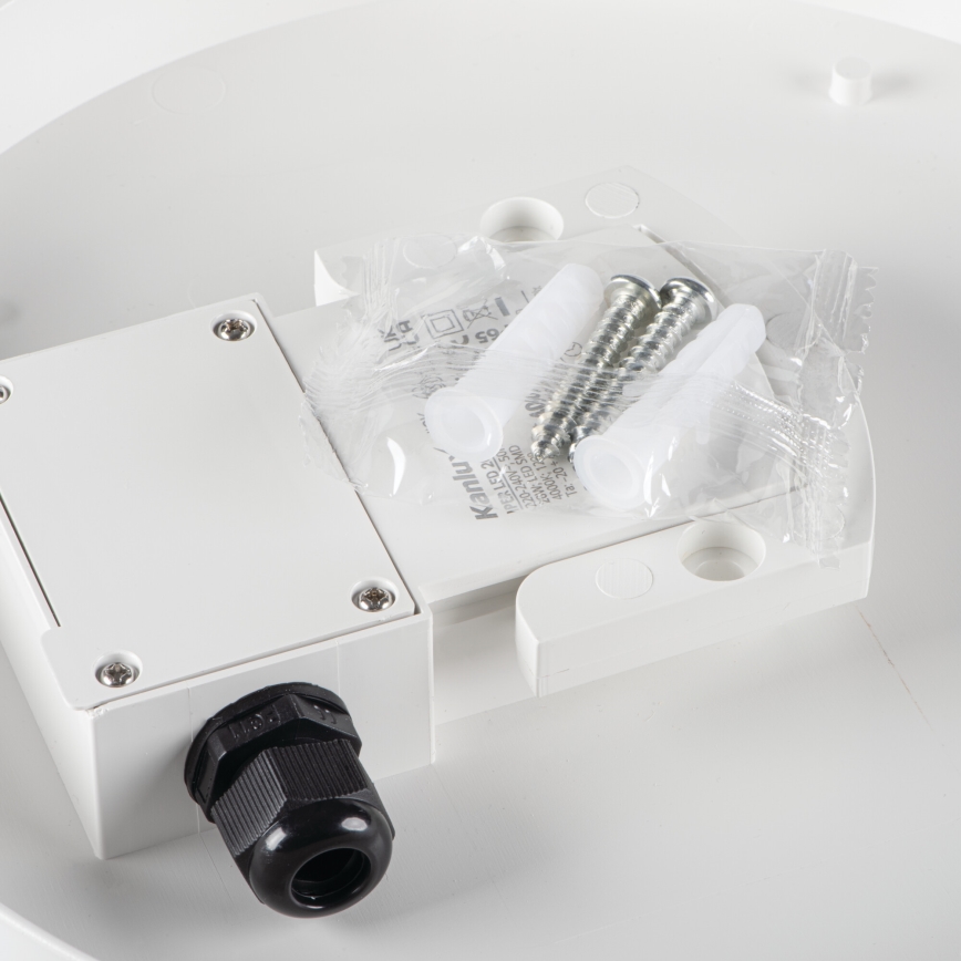 LED arbetsvägglampa med rörelsedetektor IPER LED/26W/230V IK10 IP65 rund vit