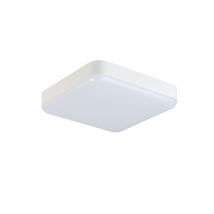 LED arbetsvägglampa med rörelsedetektor IPER LED/26W/230V IK10 IP65 vinklat vit
