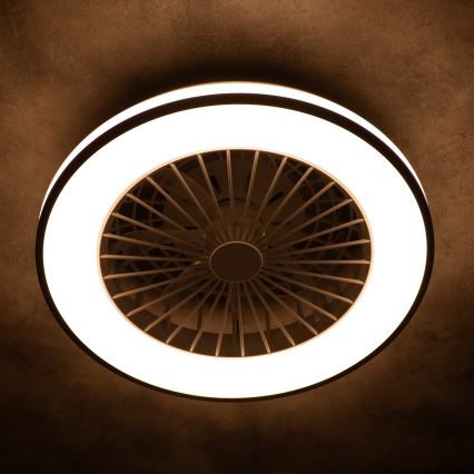 LED Dimbar taklampa med fläkt PLAVE LED/48W/230V 3000/4000/6500K + fjärrkontroll