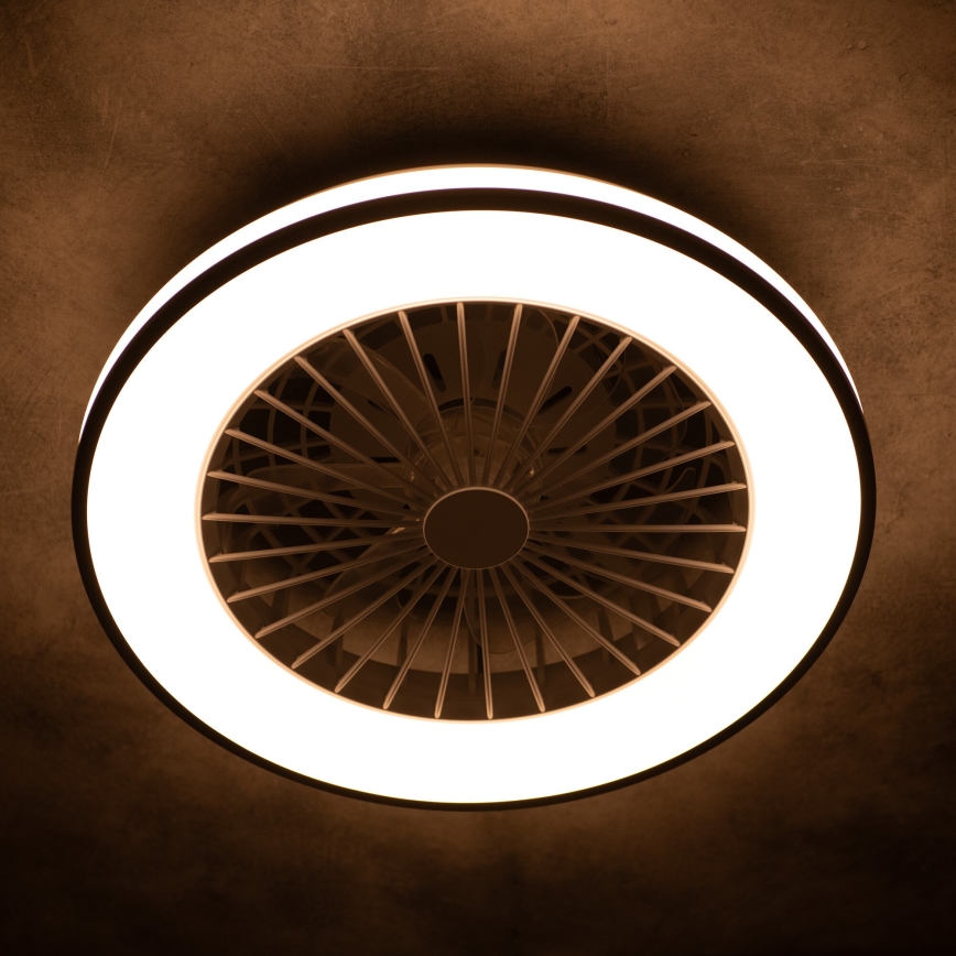 LED Dimbar taklampa med fläkt PLAVE LED/48W/230V 3000/4000/6500K + fjärrkontroll