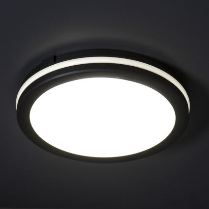 LED taklampa för utomhusbruk BENO ECO LED/30W/230V 3000/4000/6500K diameter 30 cm IP65 svart