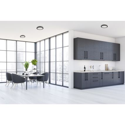 LED taklampa för utomhusbruk BENO ECO LED/40W/230V 3000/4000/6500K diameter 40 cm IP65 svart