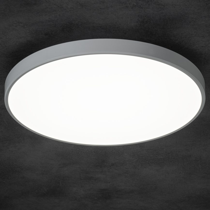 LED Dimbar taklampa PLAFON LED/20W/230V 3000-6500K Wi-Fi vit